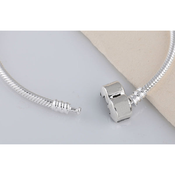 Sterling Silver Smooth Chain Cylinder Anklet - 925 - FeetyWeety